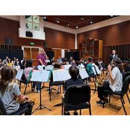 Harmonizing Success