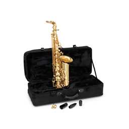 Pegasus PAS200L Alto Sax