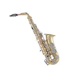 Selmer SAS201 Student Alto Saxophone