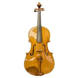 Pegasus Signature Solo Viola 15.5"