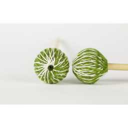 MARIMBA ONE FRONT ENSEMBLE MARIMBA MALLETS BIRCH SOFT / FEMB5