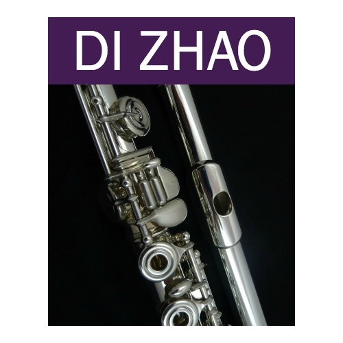 Di Zhao DZ770 Professional Series Flute