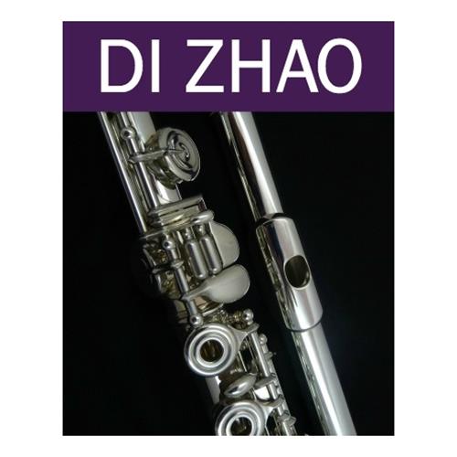 Di Zhao DZ330 Student Open Hole Flute