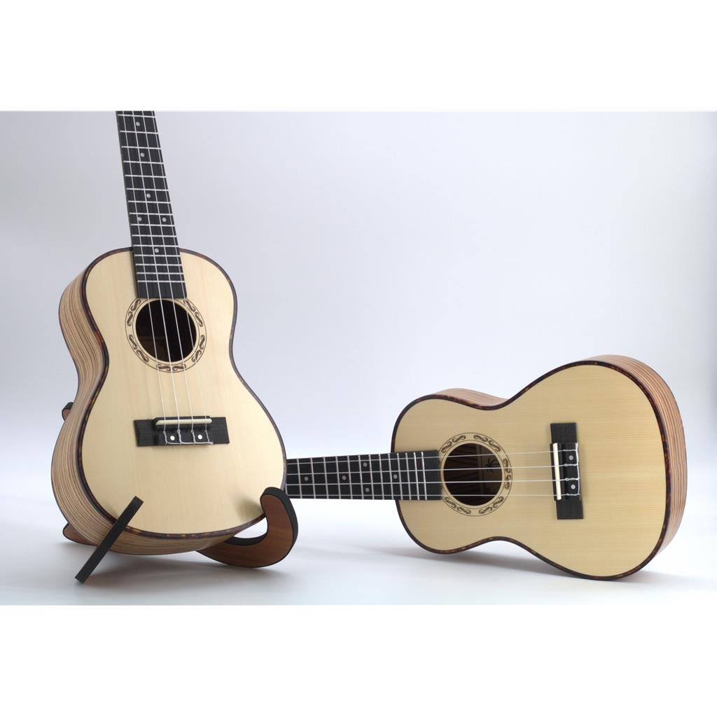 Bertrand's Music Online Rentals - BEST SELLER! Concert Ukulele