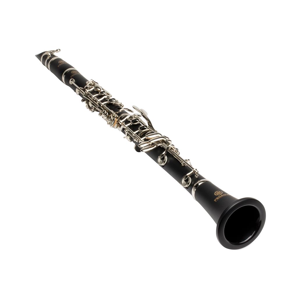 Bertrand's Music Online Rentals - Pegasus PCL200 Student