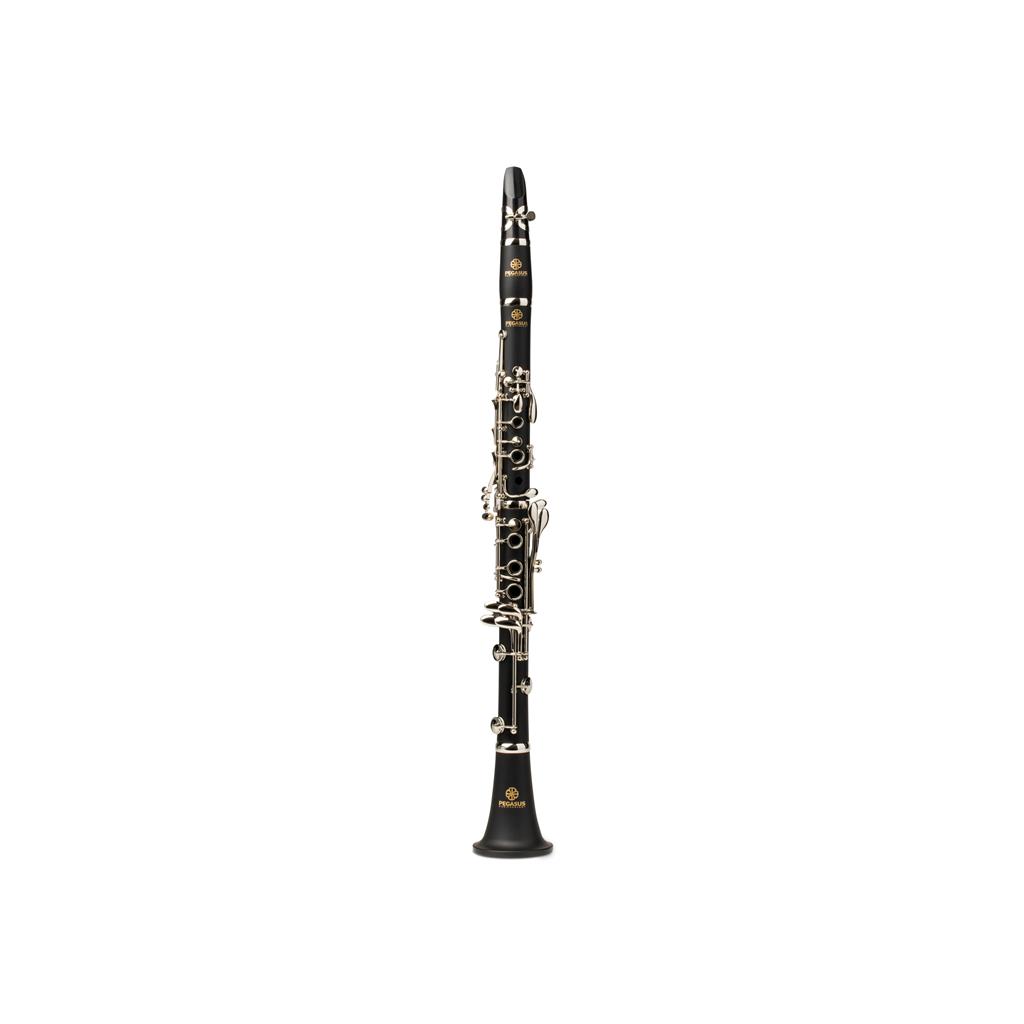 Bertrand's Music Online Rentals - Pegasus PCL200 Student