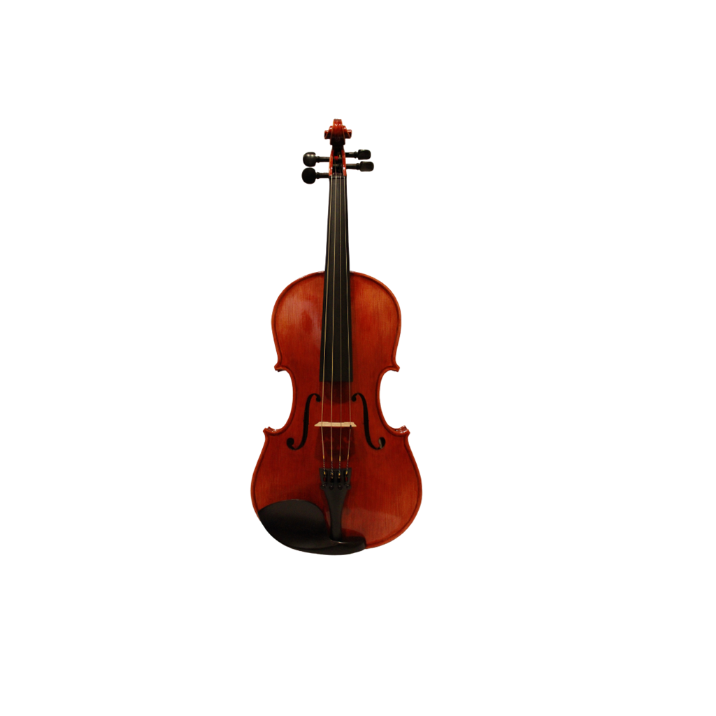 Pegasus Florence II Viola 15.5"