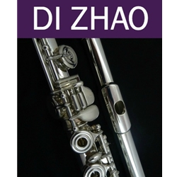 Di Zhao DZ470 Flute
