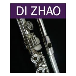 Di Zhao DZ330 Student Open Hole Flute
