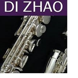 Di Zhao Flute Aritst Series 2 L5