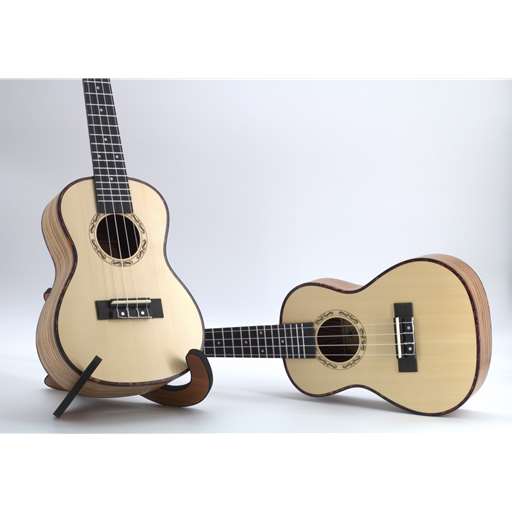 Bertrand's Music Online Rentals - BEST SELLER! Concert Ukulele