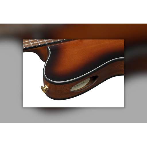 Bertrand's Music Online Rentals - Ibanez FRH10N Acoustic-Electric