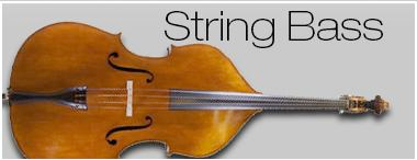 string bass