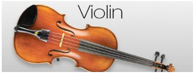 violin
