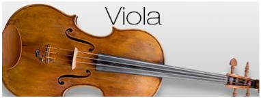 viola